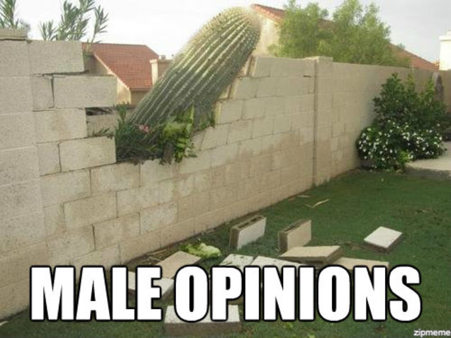 male opinons
